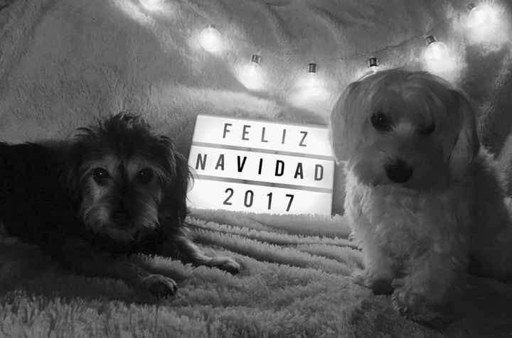  ¡¡feliz navidad a Tod@s!! - 1