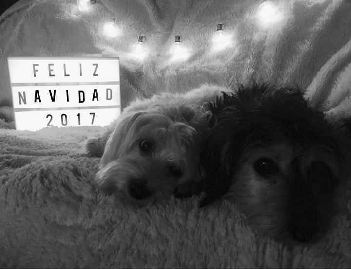  ¡¡feliz navidad a Tod@s!! - 3