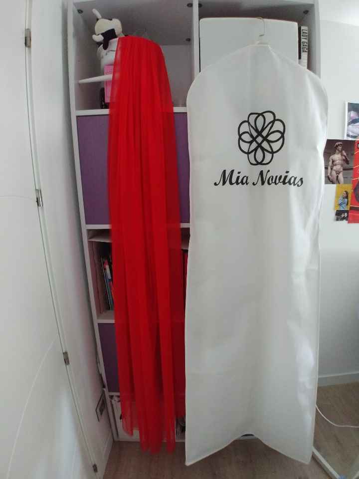 Os presento..... "mi Velo"!! - 1