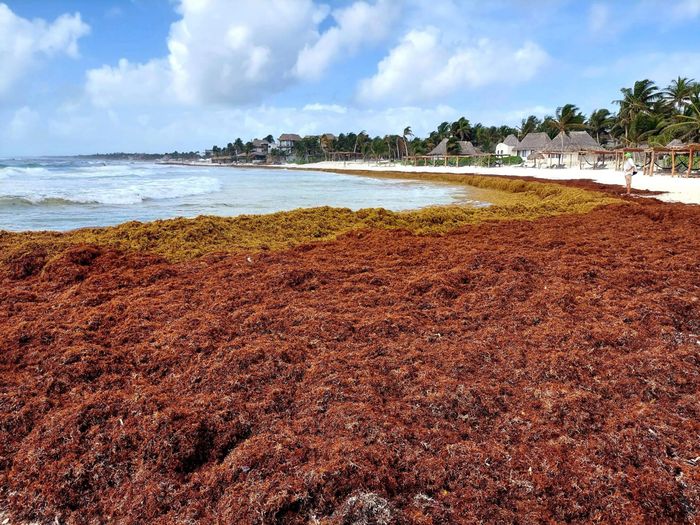 Riviera Maya o Punta Cana? 1
