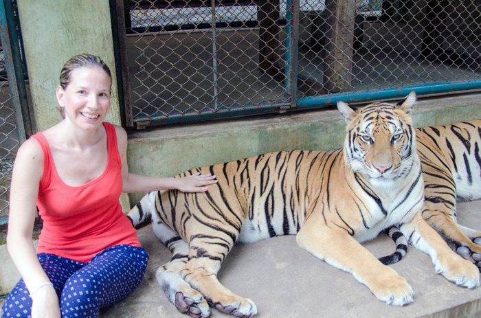 Tiger Kingdom