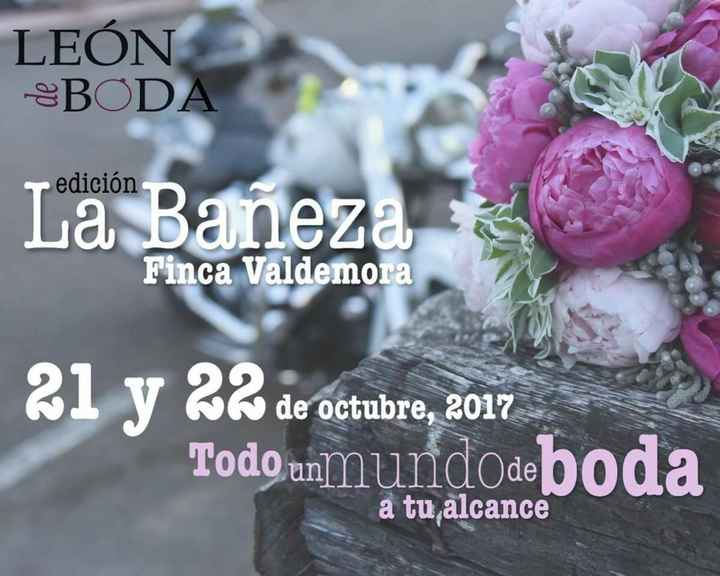  León de Boda - 1