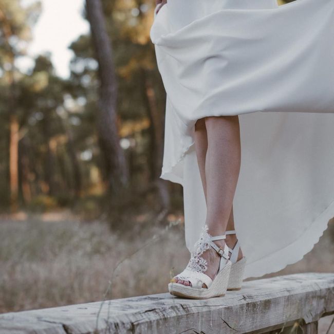 Vuestros zapatos 1