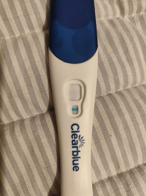 Futuras mamás Mayo 2025 1