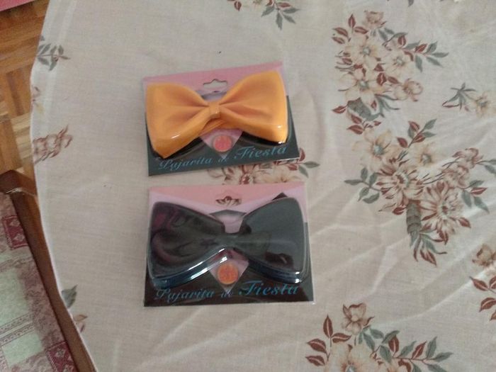 Gatos elegantes - 1