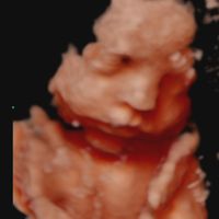 Futuras Mamás junio 2019 - 1