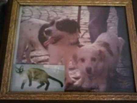 Los tres