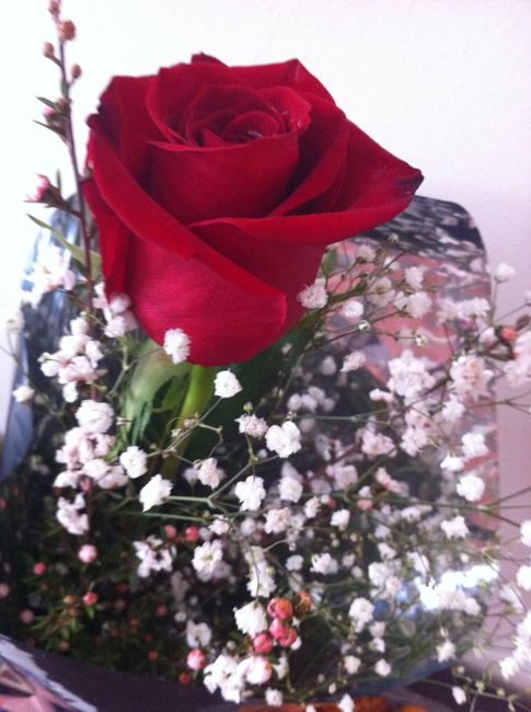 rosas