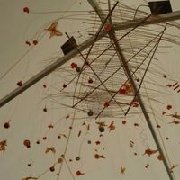Decoración carpa