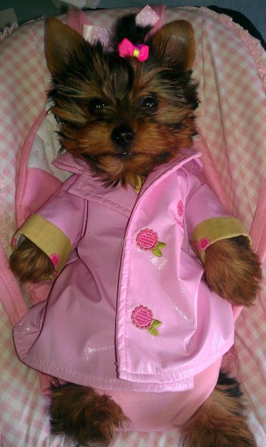 una de nuestras hijas, os la presento, Magui