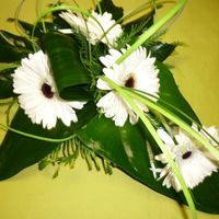 centro flores