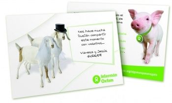 targeta solidaria