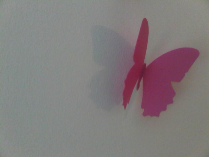 mariposa