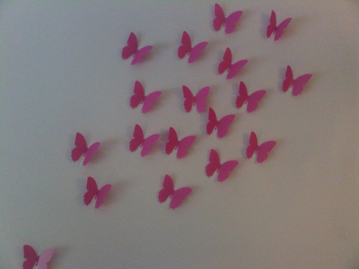 mariposas