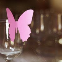 mariposas