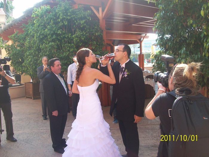 brindis