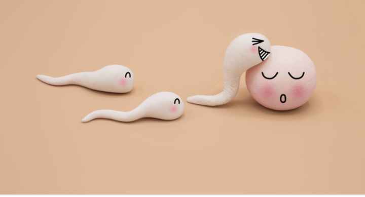 Inseminación Artificial - 1