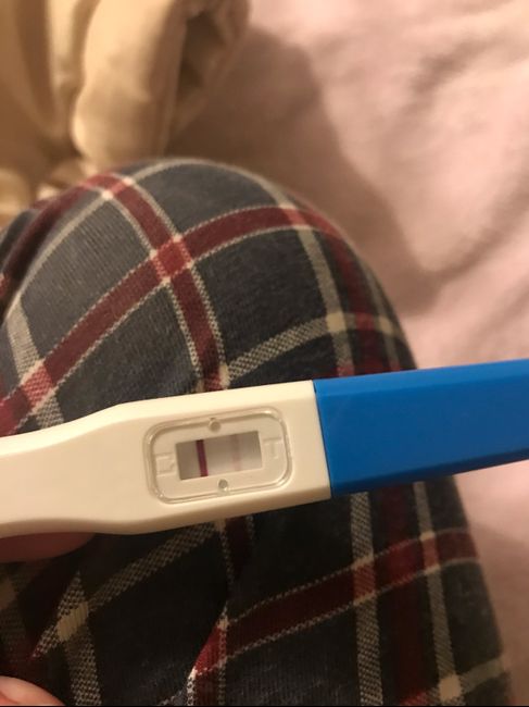 Progesterona para que baje la regla 1