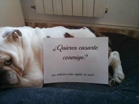 Pedida 1ª parte