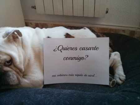Pedida 1ª parte