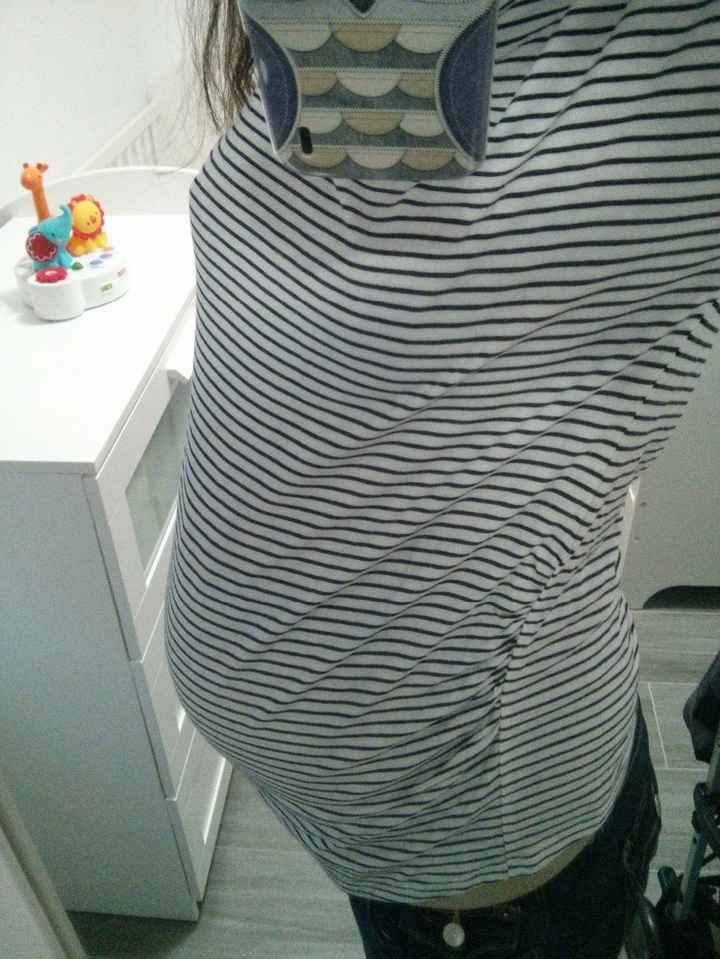 Barriguita 19+1