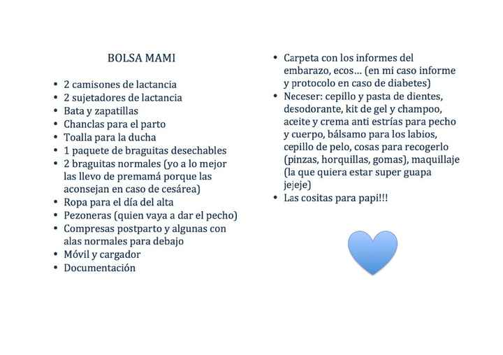 Bolsa mami