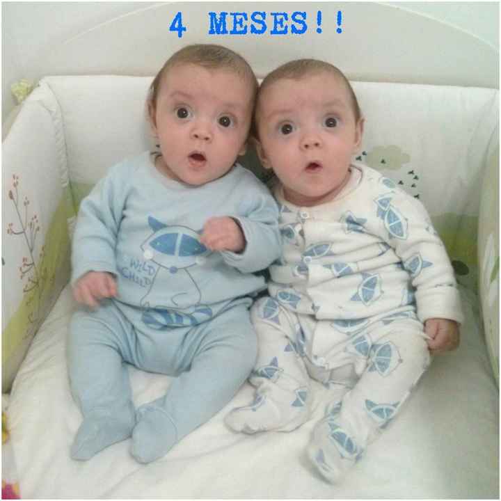 4 meses