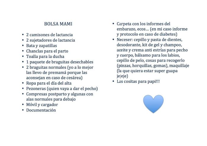 Bolsa mami