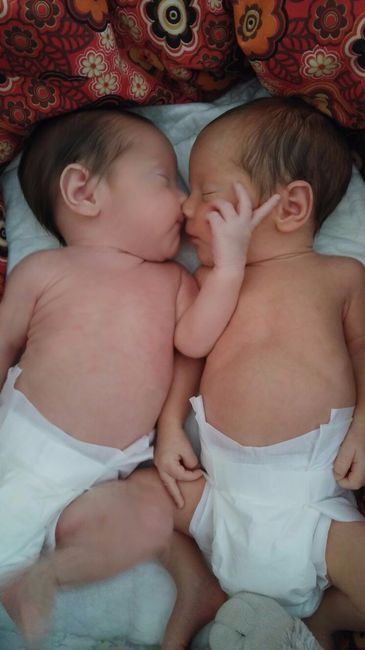 Mis chicos