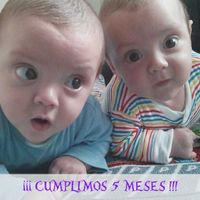5 meses