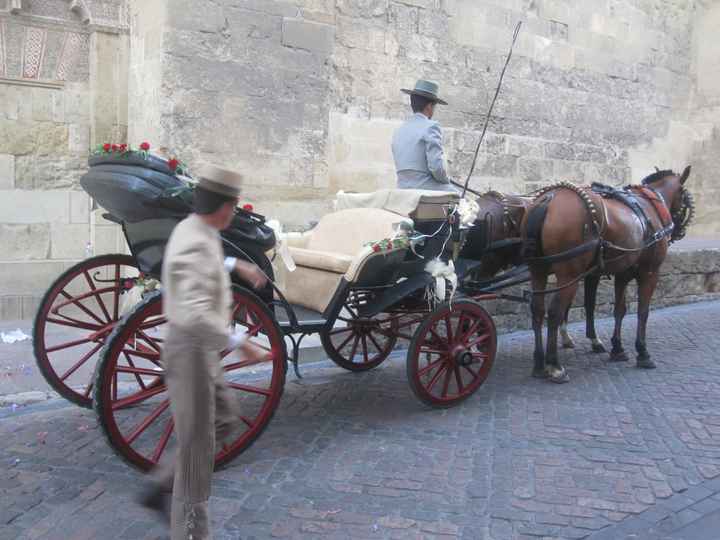 El coche de caballos de Sonia