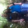 Oriol