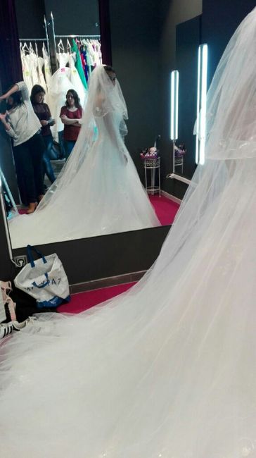 Primera prueba del vestido - 2