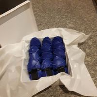 bailarinas azules