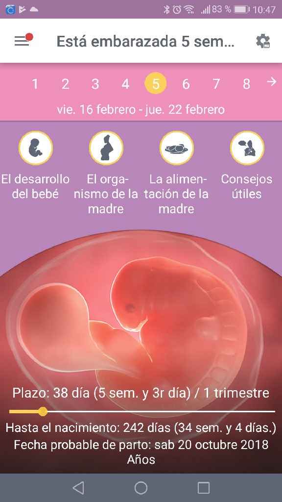  Futuras mamás Octubre 2018!!! - 1