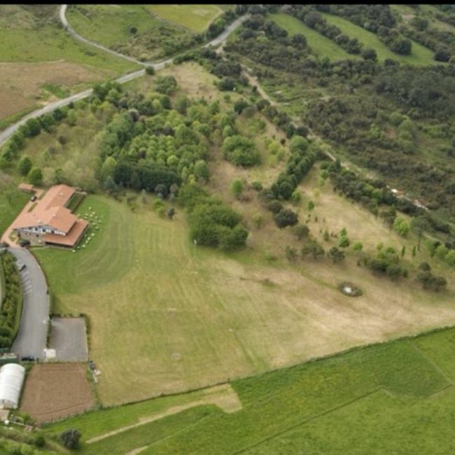 Comparte una foto de algo de tu boda 😜👇 - 3