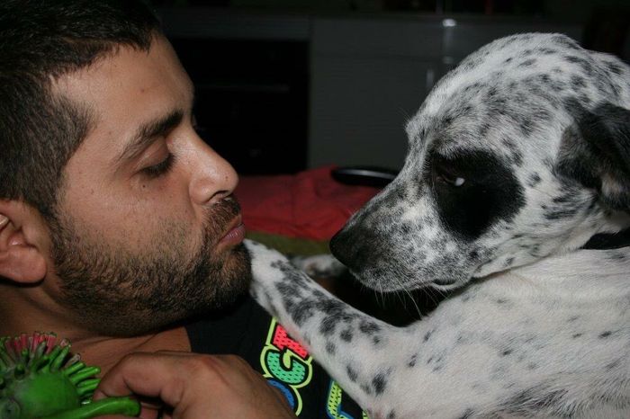 No sin perros!!! - 1