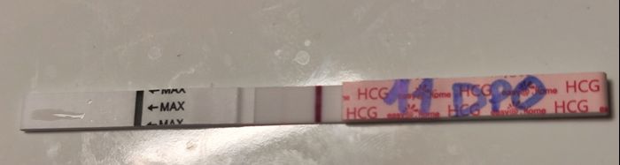 Buscadoras octubre 2024❤️ - 1