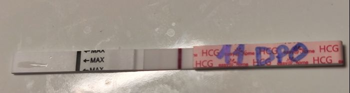 Buscadoras octubre 2024❤️ - 2