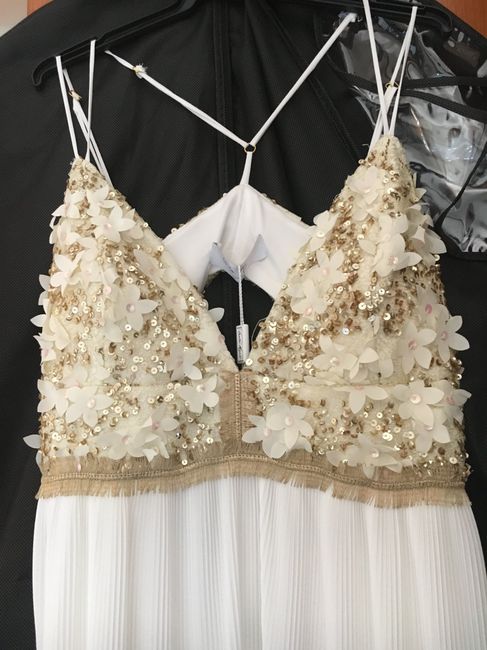 Ya tengo mi vestido para la firma ! - 2