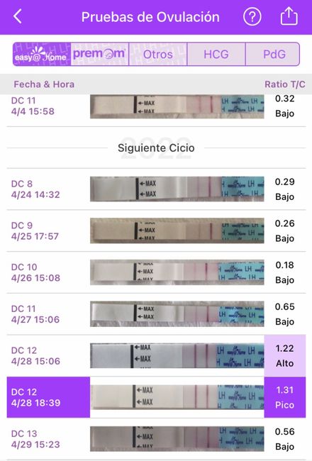 Buscadoras más de 1 año - 2022 4