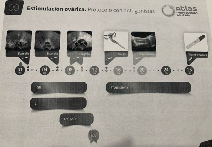 Buscadoras más de 1 año - 2022 1