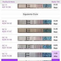 Buscadoras más de 1 año - 2022 - 1