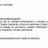 Buscadoras más de 1 año - 2022 - 1