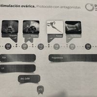 Buscadoras más de 1 año - 2022 - 1