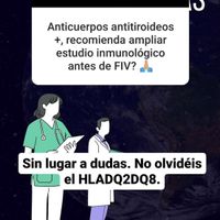 Buscadoras más de 1 año - 2022 - 1