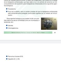Baja por riesgo de embarazo maestra - 1