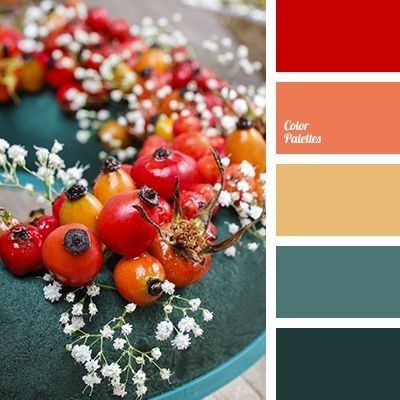 Dilema colores! - 2