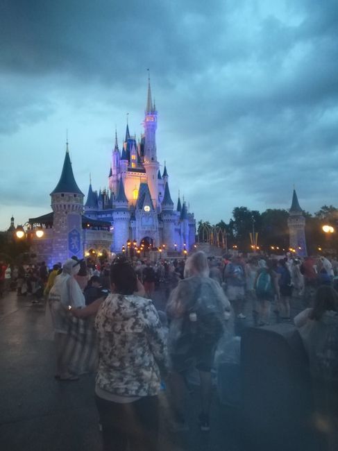 Luna de miel Disney World (orlando) 2