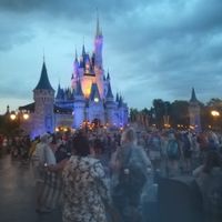 Luna de miel Disney World (orlando) - 1